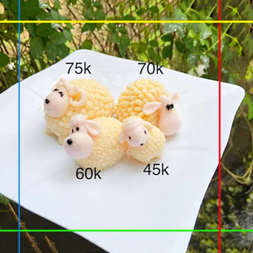 [Khuôn silicone 4D] Sét 4 khuôn silicone gia đình con cừu siêu cute
