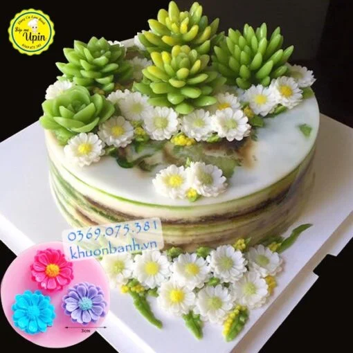 Khuôn vỉ 3 hoa cúc