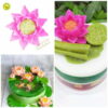 Khuôn silicon hoa sen cánh xòe
