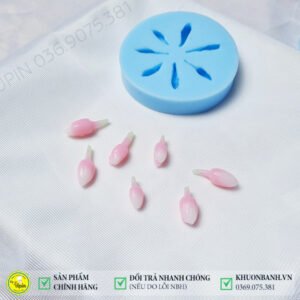 vỉ 7 nụ hoa thái