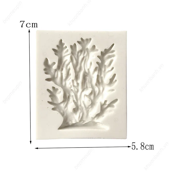 Khuôn silicon san hô