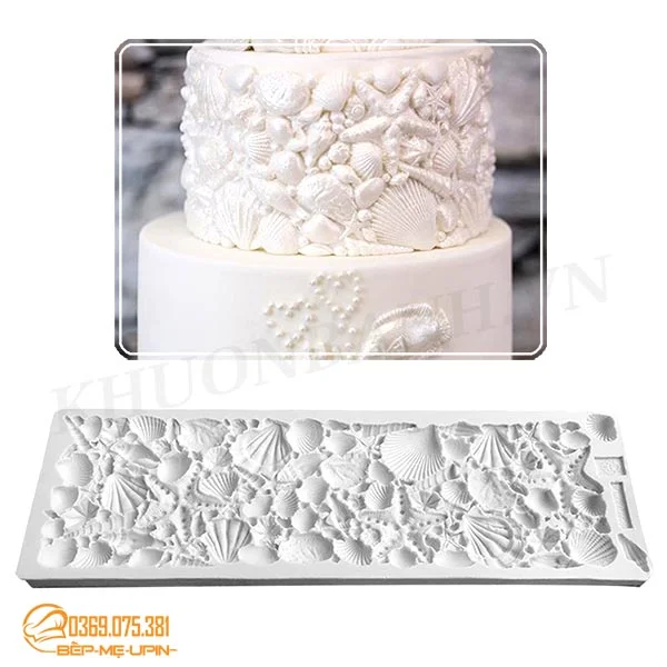 ốp vỏ ốc ngao sò biển