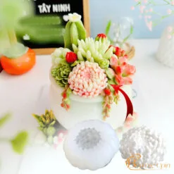 Khuôn silicon xương rồng chùm
