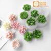 Khuôn Silicon 7 Ô Sen Đá Xương Rồng - Chuyên Làm Nến Thạch Rau Câu, Nến Decor 3D
