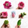 Bộ 7 Khuôn Silicone Hoa Sen Mẫu Nga Chuyên Làm Bánh Rau Câu 3D & Nến Thơm Siêu Nét